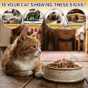 cat-appetite-stimulant-weight-gainer-liq-3.jpg