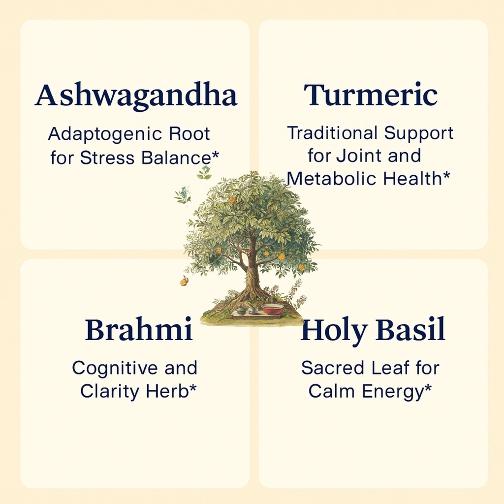 sun-vitals-adaptogen-complex-ashwagandha-4.jpg