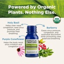 forces-of-nature-sinus-relief-nasal-deco-3.jpg