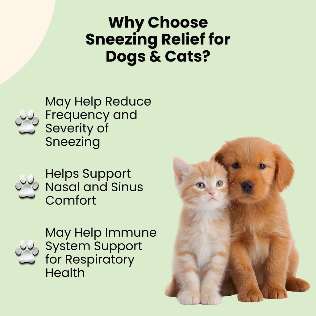 dog-cat-sneezing-treatment-helps-to-supp-4.jpg