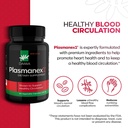 daiwa-plasmanex1-circulation-supplement--2.jpg