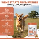 omega-3-fish-oil-for-dogs-salmon-flavor--3.jpg