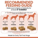 omega-3-fish-oil-for-dogs-salmon-flavor--5.jpg