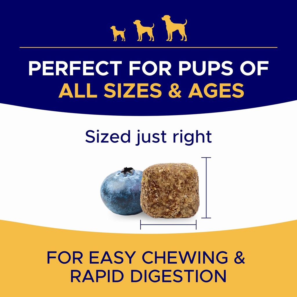 omega-3-fish-oil-for-dogs-skin-coat-supp-6.jpg