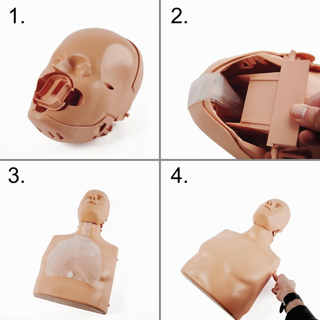 pulox-practi-man-advance-resuscitation-d-714EOv4n9iL.jpg