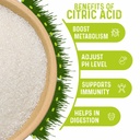 bake-king-citric-acid-powder-100g-citrus-71mGE3sBHJL.jpg