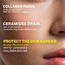 oziva-phyto-ceramides-collagen-builder-b-71+x+Nd1C0L.jpg