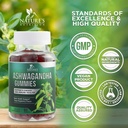 ashwagandha-gummies-301-extract-from-300-4.jpg