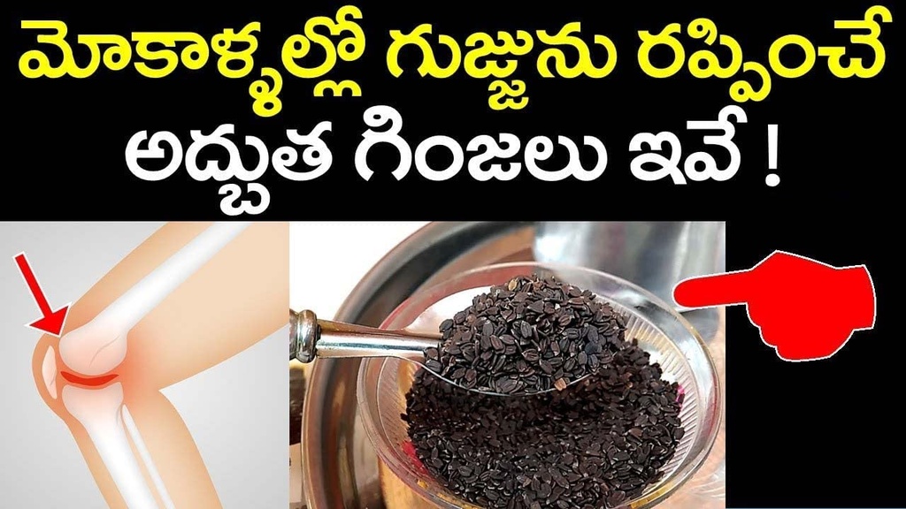 pmw-mahabeera-seeds-mahabeera-ginjalu-fo-61Rahhq56YL.jpg