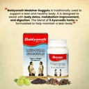 baidyanath-ayurved-medohar-guggulu-table-81mbbu3FMQL.jpg