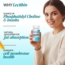 healthaid-lecithin-1200mg-50-softgel-cap-71obVKZmB-L.jpg