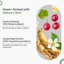 neuherbs-daily-multivitamin-60-tablets-t-71y1-48kV2L.jpg
