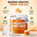 pre-biotic-fiber-boost-for-digestion-gut-71ZNYx2yRTL.jpg