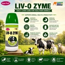 liv-o-zyme-liver-tonic-digestive-supplem-71NpLBDmCsL.jpg