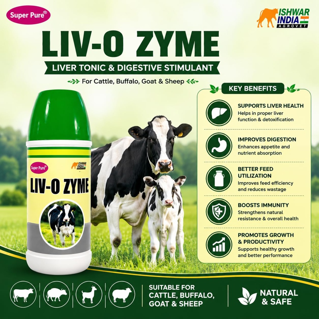 liv-o-zyme-liver-tonic-digestive-supplem-71V1k+CJw3L.jpg