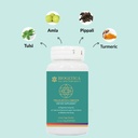 pranavita-green-dietary-supplement-diges-51k1swJ4dGL.jpg