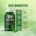 salmega-veg-omega-3-algal-oil-capsules-1-71NNOsnxYEL.jpg