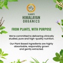 vlado-s-himalayan-organics-nitric-oxide--71TJI5IEB9L.jpg