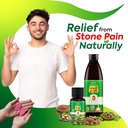 jeena-sikho-pathri-shuddhi-kit-ayurvedic-81uy9jIhLkL.jpg