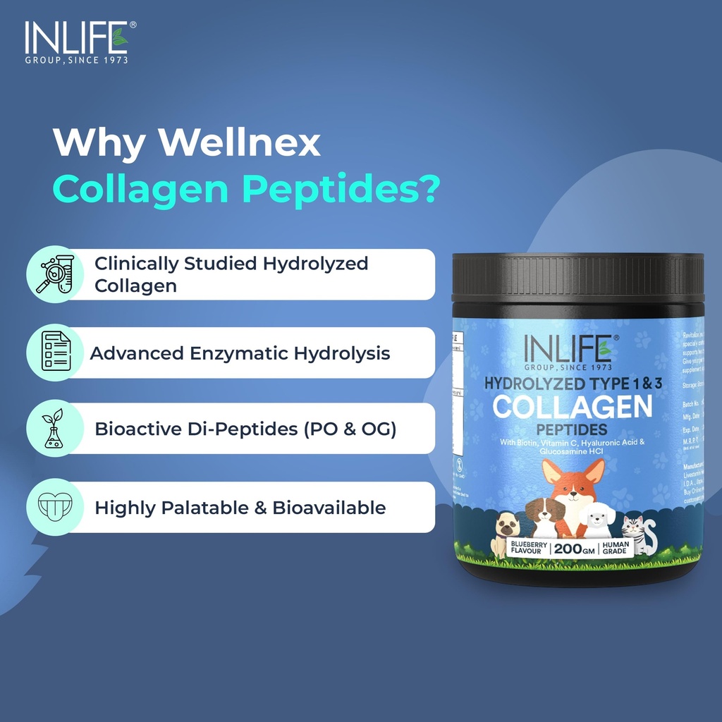 inlife-collagen-peptides-supplement-dogs-81FUjI3kHUL.jpg