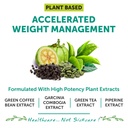 bliss-welness-weight-management-combo-gr-81AbN2LngEL.jpg