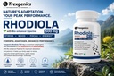 trexgenics-rhodiola-rosea-standardized-5-71dQpLzKWqL.jpg