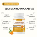 sushain-sea-buckthorn-capsules-omega-3-o-61Atto5A+mL.jpg