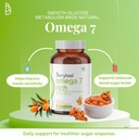 omega-7-rich-capsules-regulates-blood-su-61B0w3mqMSL.jpg