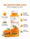 sea-buckthorn-juice-himalayan-sea-berry--61tQ-07FQtL.jpg