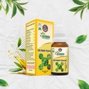 asclepius-exe-panch-tulsi-oil-ayurvedic--61KJnS-gK4L.jpg
