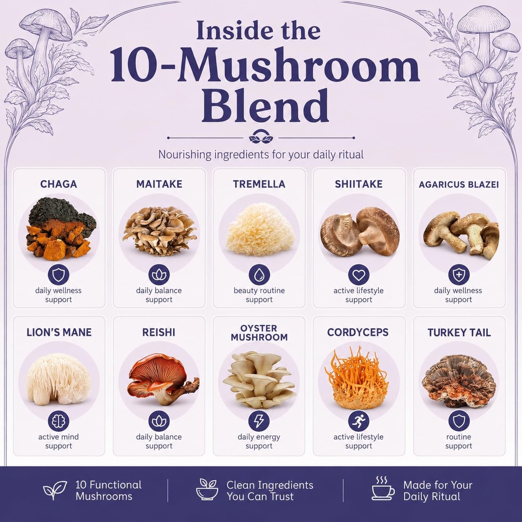 suiyilary-10-mushroom-hot-cocoa-for-slee-71TIO3yw7dL.jpg