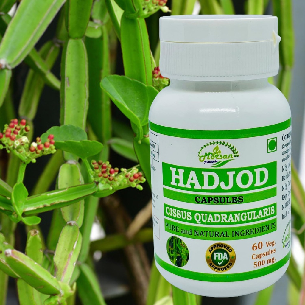 hadjod-cissus-quadrangularis-for-optimal-6.jpg