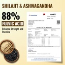 cureforever-shilajit-ashwagandha-1000mg--61LJme4IdKL.jpg