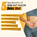 sesa-ayurvedic-gut-health-detox-shot-500-61pgPjrf9YL.jpg