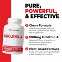 urolithin-a-supplement-1000mg-120-pills--71B6u84Q2IL.jpg