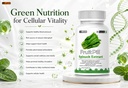 by-leewell-spinach-leaf-powder-extract-1-71Nboa9KmUL.jpg