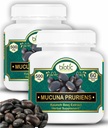 biotic-mucuna-pruriens-capsules-kaunch-b-61-qrBObvrL.jpg