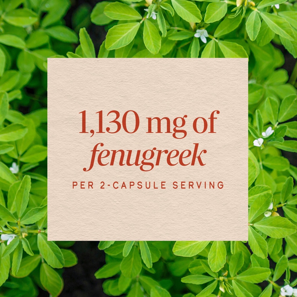 nature-s-way-fenugreek-seed-610-mg-100-v-91VaVRp+lIL.jpg