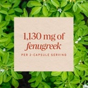 nature-s-way-fenugreek-seed-610-mg-100-v-91VaVRp+lIL.jpg