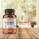 vaastavik-black-walnut-hull-capsules-jug-611svFAY0YL.jpg