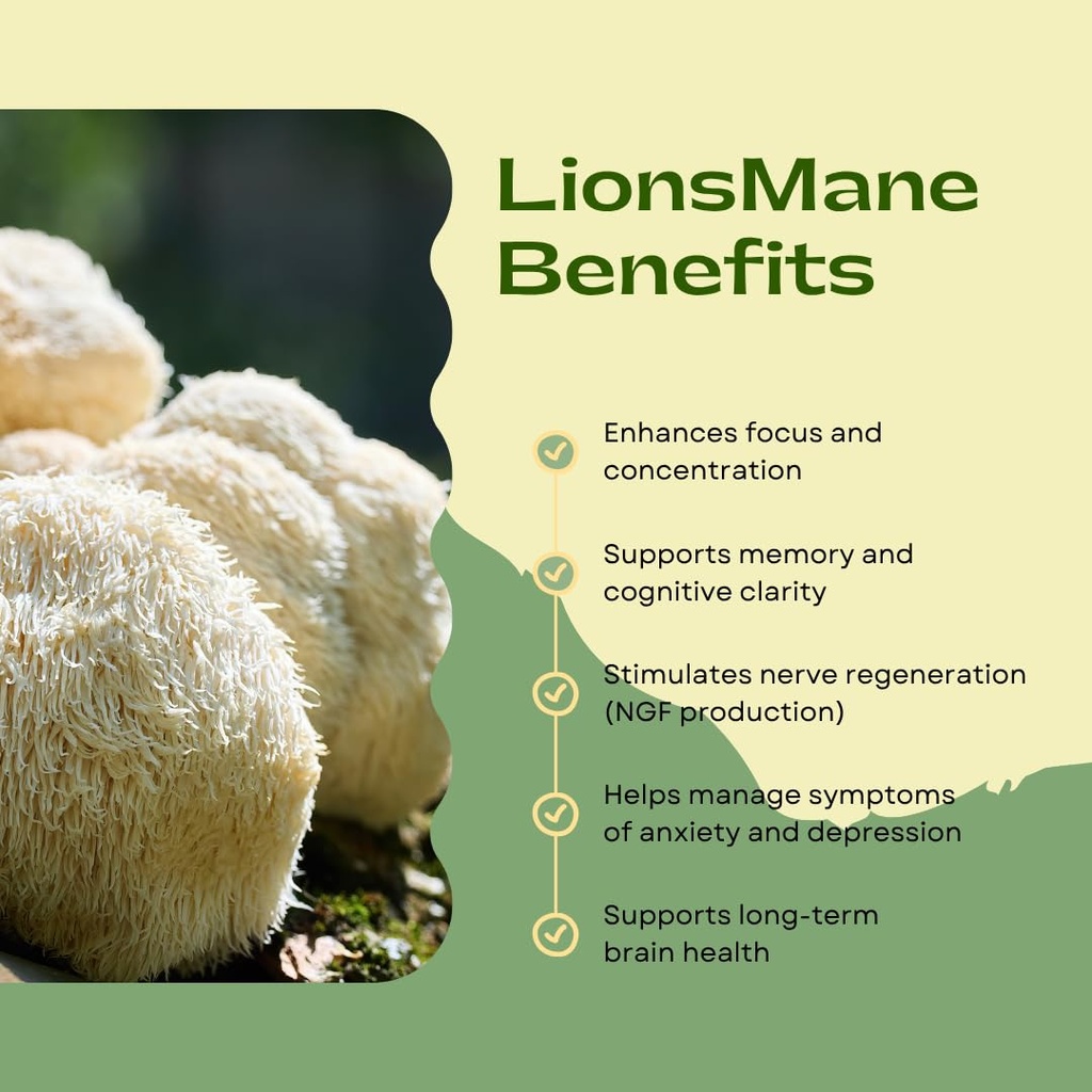 lion-s-mane-dried-whole-diced-boost-brai-61RULNThWfL.jpg
