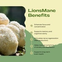lion-s-mane-dried-whole-diced-boost-brai-61RULNThWfL.jpg
