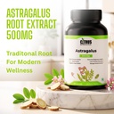 astragalus-root-extract-500mg-81Rz+-D9e9L.jpg