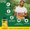 softovac-isabgol-fiber-plus-natural-acti-81vAn+BWyoL.jpg