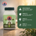 brahmi-veg-capsules-memory-enhancement-s-81lTdrYrQGL.jpg