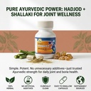 la-botanique-osteoguard-h-joint-pain-rel-71jI+xaFT0L.jpg