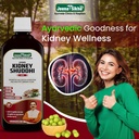 jeena-sikho-hiims-kidney-shuddhi-ark-ayu-91WWsfv2jmL.jpg