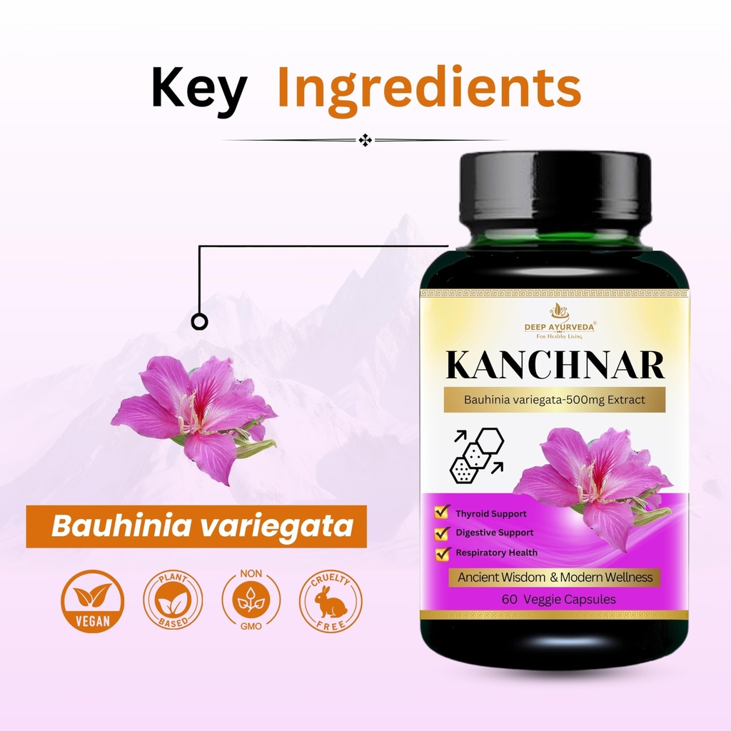 kanchnaar-vegan-capsules-813s91jcD5L.jpg