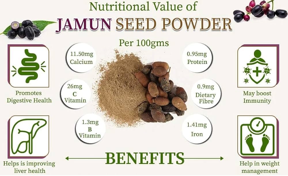 naturals-organic-jamun-seed-powder-100g--61+Aod50DIL.jpg