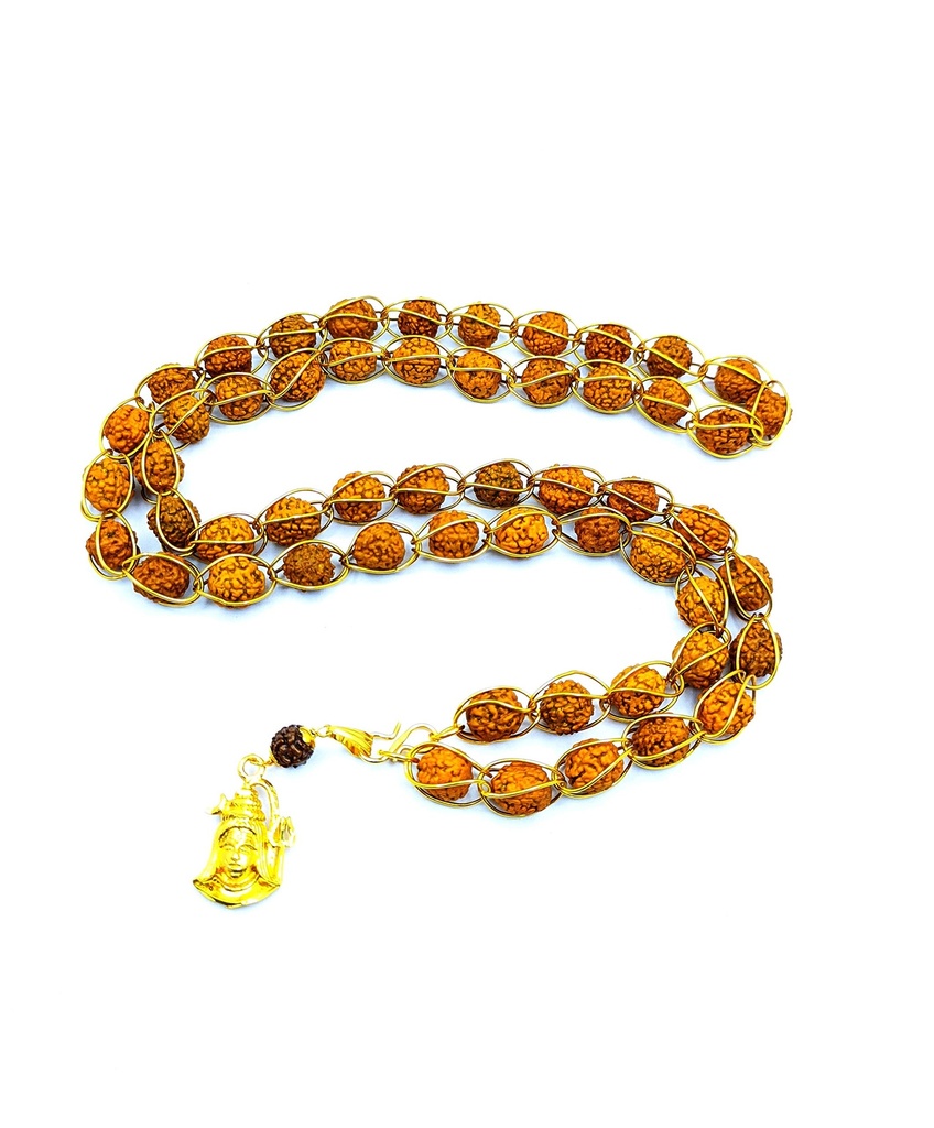 lord-shiv-shankar-mahadev-shiv-shakti-ru-81uDvkCAW9L.jpg